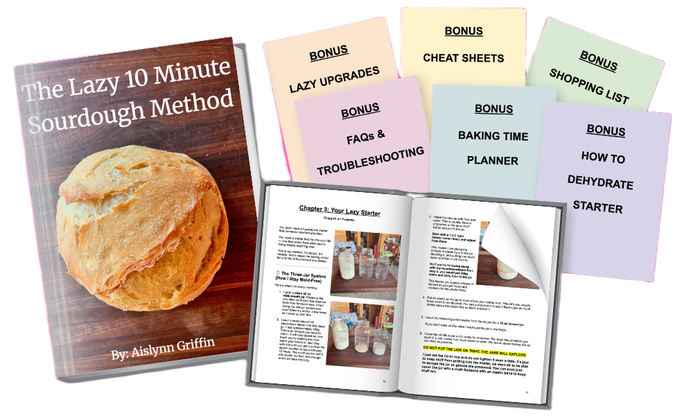 The Lazy 10 Minute Sourdough Method